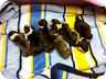 Right after birth