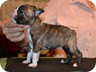 6weeks