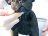 6 Weeks