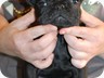 8 Weeks
