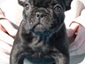 9 weeks