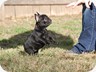 9 weeks
