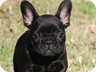 9 weeks