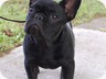  Pictured at 5 months old