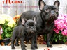 Penny Lane and her half sister Mimi