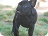  Pictured at 5 months old
