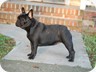  Pictured at 9 months old