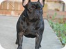Pictured at 9 months old