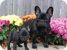 Penny and her half sister Mimi