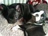 Penny with her BFF Simiami
